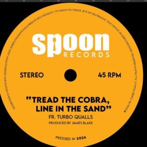 PRE-ORDER: Spoon Records Compilation 1 - 7" 45RPM Vinyl - Image 3